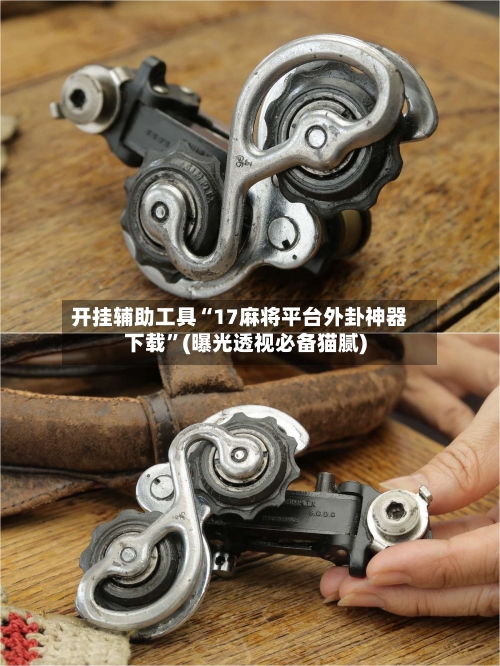 开挂辅助工具“17麻将平台外卦神器下载”(曝光透视必备猫腻)-第1张图片