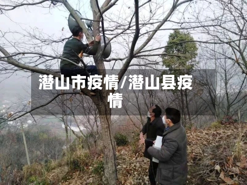 潜山市疫情/潜山县疫情-第2张图片