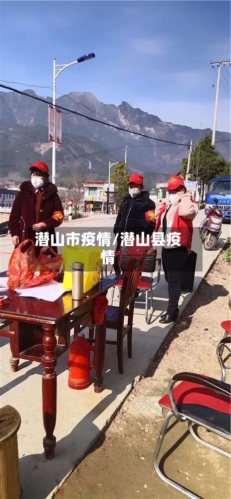 潜山市疫情/潜山县疫情-第3张图片