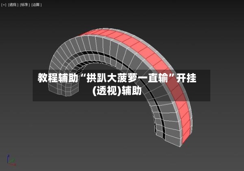 教程辅助“拱趴大菠萝一直输”开挂(透视)辅助-第1张图片