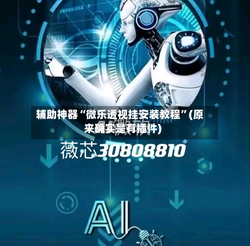 辅助神器“微乐透视挂安装教程”(原来确实是有插件)-第3张图片