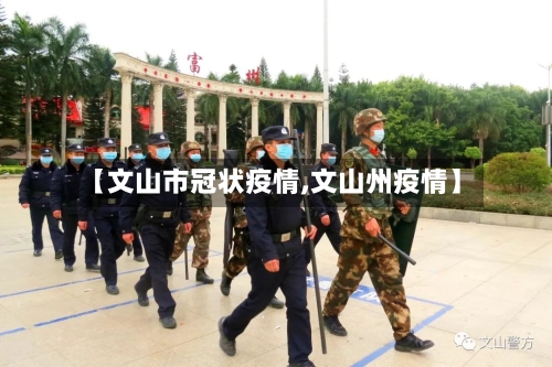 【文山市冠状疫情,文山州疫情】-第1张图片