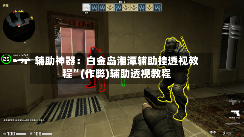 辅助神器：白金岛湘潭辅助挂透视教程”(作弊)辅助透视教程-第2张图片