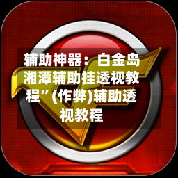 辅助神器：白金岛湘潭辅助挂透视教程”(作弊)辅助透视教程-第3张图片