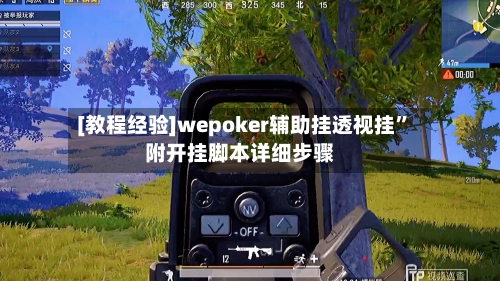 [教程经验]wepoker辅助挂透视挂	”附开挂脚本详细步骤-第2张图片