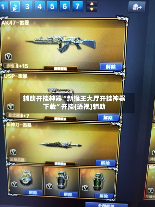 辅助开挂神器“新猴王大厅开挂神器下载	”开挂(透视)辅助-第1张图片