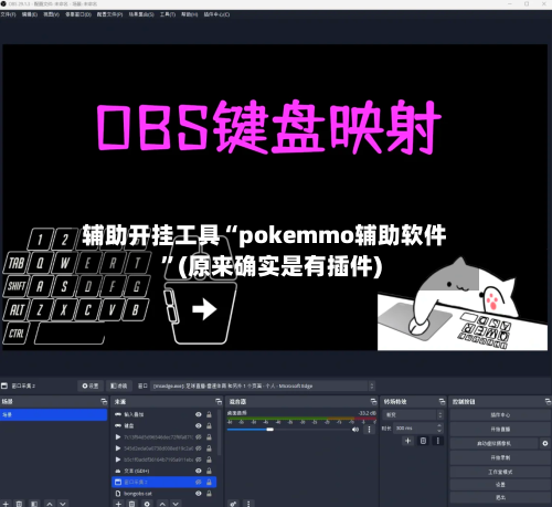 辅助开挂工具“pokemmo辅助软件	”(原来确实是有插件)-第2张图片