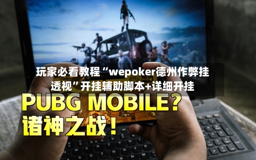 玩家必看教程“wepoker德州作弊挂透视”开挂辅助脚本+详细开挂-第3张图片