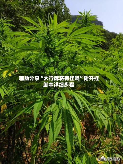 辅助分享“太行麻将有挂吗”附开挂脚本详细步骤-第3张图片