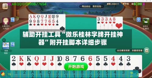 辅助开挂工具“微乐桂林字牌开挂神器”附开挂脚本详细步骤-第2张图片