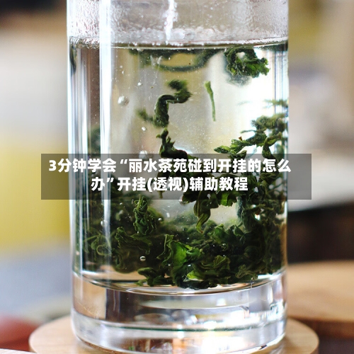 3分钟学会“丽水茶苑碰到开挂的怎么办	”开挂(透视)辅助教程-第1张图片