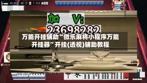 万能开挂辅助“微乐麻将小程序万能开挂器”开挂(透视)辅助教程-第3张图片