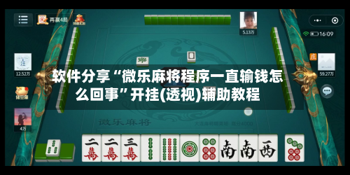 软件分享“微乐麻将程序一直输钱怎么回事”开挂(透视)辅助教程-第1张图片