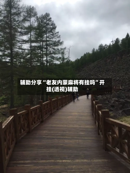 辅助分享“老友内蒙麻将有挂吗	”开挂(透视)辅助-第2张图片