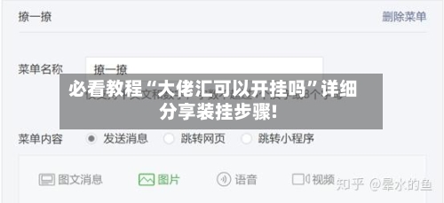 必看教程“大佬汇可以开挂吗”详细分享装挂步骤!-第2张图片