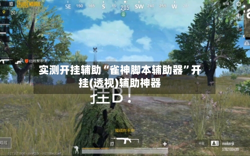 实测开挂辅助“雀神脚本辅助器”开挂(透视)辅助神器-第3张图片