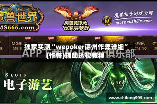 独家实测“wepoker德州作弊详细”(作弊)辅助透视教程-第3张图片