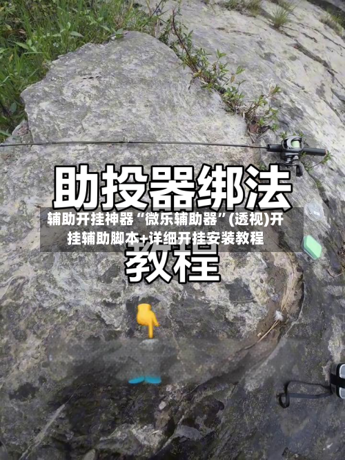 辅助开挂神器“微乐辅助器”(透视)开挂辅助脚本+详细开挂安装教程-第3张图片