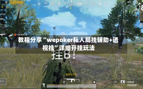 教程分享“wepoker私人局挂辅助+透视挂”详细开挂玩法-第1张图片