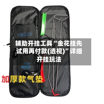 辅助开挂工具“金花挂先试用再付款(透视)”详细开挂玩法-第1张图片