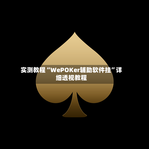 实测教程“WePOKer辅助软件挂”详细透视教程-第1张图片