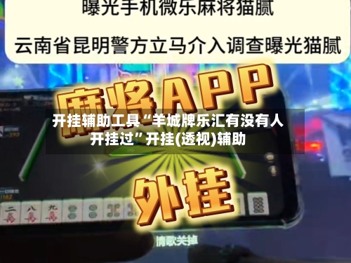 开挂辅助工具“羊城牌乐汇有没有人开挂过”开挂(透视)辅助-第3张图片