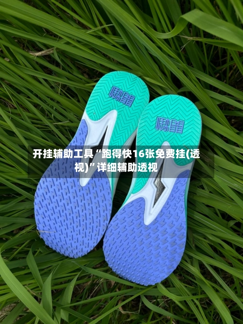 开挂辅助工具“跑得快16张免费挂(透视)”详细辅助透视-第2张图片