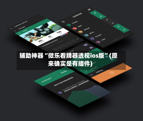 辅助神器“微乐看牌器透视ios版	”(原来确实是有插件)-第3张图片