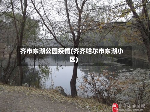 齐市东湖公园疫情(齐齐哈尔市东湖小区)-第2张图片