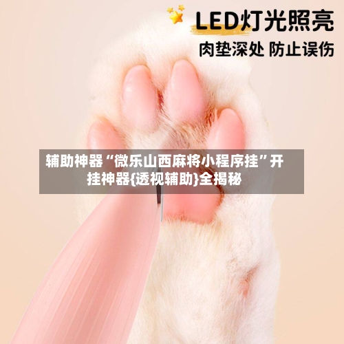 辅助神器“微乐山西麻将小程序挂	”开挂神器{透视辅助}全揭秘-第2张图片