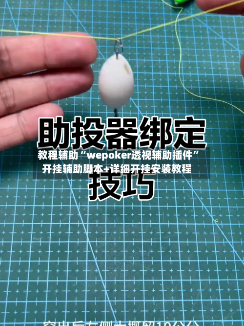 教程辅助“wepoker透视辅助插件”开挂辅助脚本+详细开挂安装教程-第1张图片