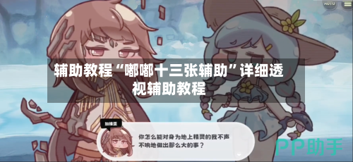 辅助教程“嘟嘟十三张辅助”详细透视辅助教程-第2张图片