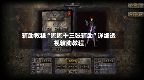 辅助教程“嘟嘟十三张辅助”详细透视辅助教程-第3张图片