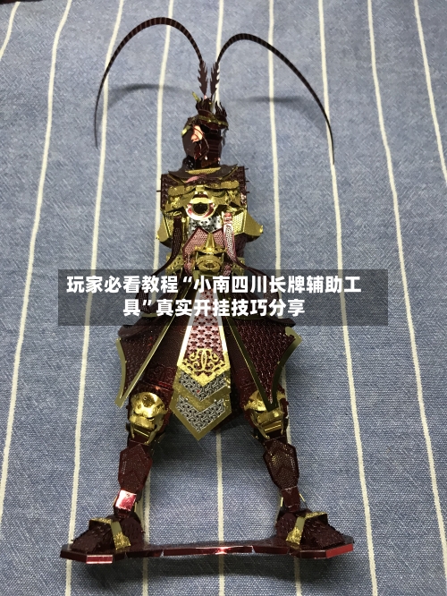 玩家必看教程“小南四川长牌辅助工具	”真实开挂技巧分享-第1张图片