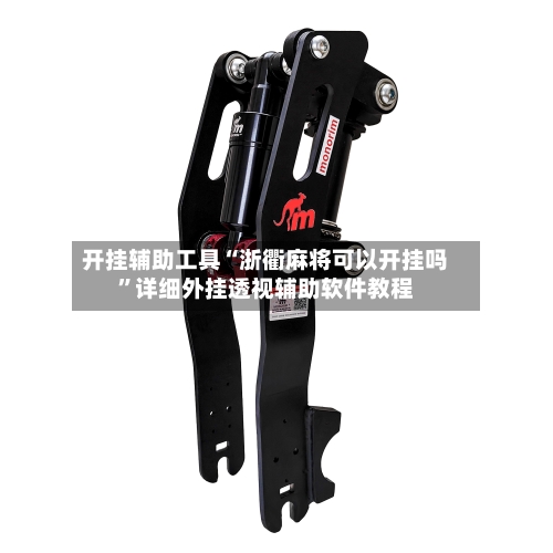 开挂辅助工具“浙衢麻将可以开挂吗”详细外挂透视辅助软件教程-第1张图片