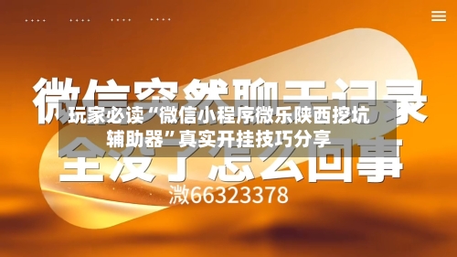 玩家必读“微信小程序微乐陕西挖坑辅助器”真实开挂技巧分享-第2张图片