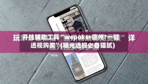 开挂辅助工具“wepoker德州?一键透视购买”(曝光透视必备猫腻)-第2张图片
