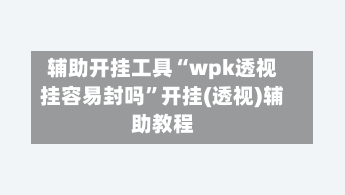 辅助开挂工具“wpk透视挂容易封吗”开挂(透视)辅助教程-第1张图片