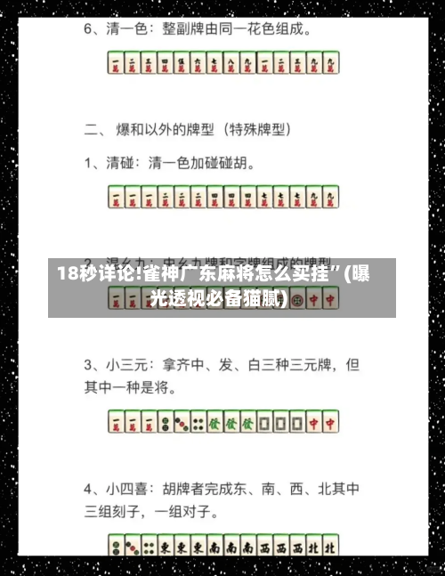 18秒详论!雀神广东麻将怎么买挂”(曝光透视必备猫腻)-第1张图片