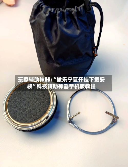 玩家辅助神器:“微乐宁夏开挂下载安装”科技辅助神器手机版教程-第1张图片