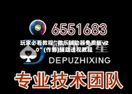 玩家必看教程“微乐辅助器免费版v2.0”(作弊)辅助透视教程-第1张图片
