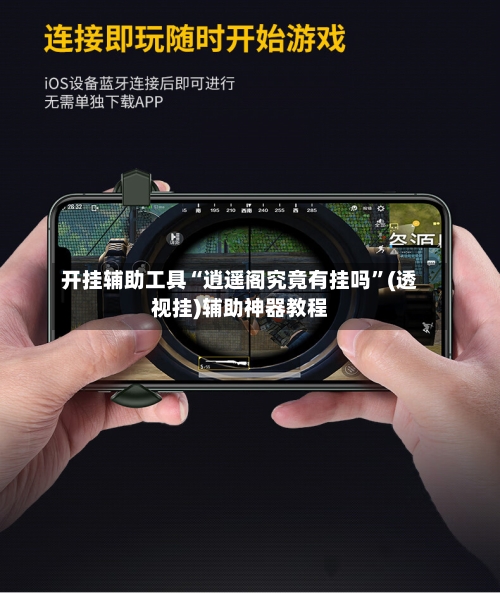 开挂辅助工具“逍遥阁究竟有挂吗”(透视挂)辅助神器教程-第2张图片