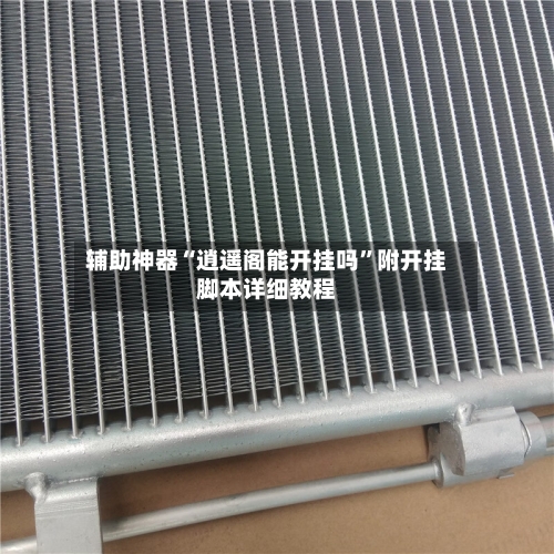 辅助神器“逍遥阁能开挂吗”附开挂脚本详细教程-第2张图片