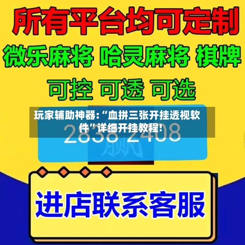 玩家辅助神器:“血拼三张开挂透视软件”详细开挂教程!-第2张图片