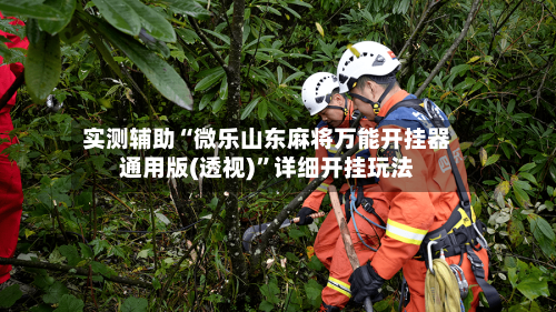 实测辅助“微乐山东麻将万能开挂器通用版(透视)”详细开挂玩法-第1张图片