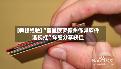 [教程经验]“智星菠萝德州作弊软件透视挂”详细分享装挂-第3张图片