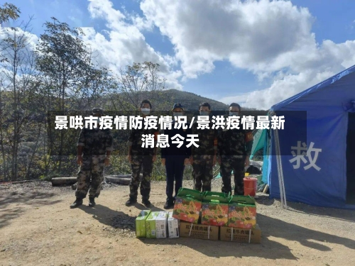 景哄市疫情防疫情况/景洪疫情最新消息今天-第2张图片