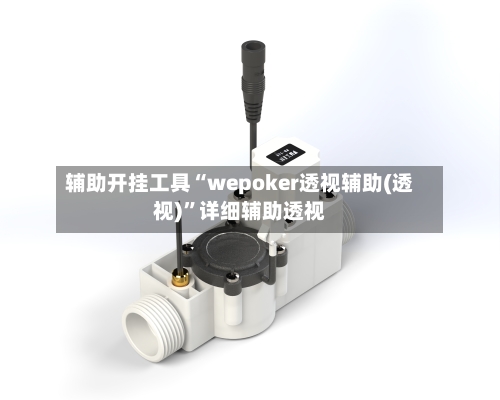 辅助开挂工具“wepoker透视辅助(透视)”详细辅助透视-第3张图片