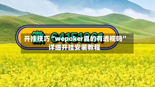 开挂技巧“wepoker真的有透视吗	”详细开挂安装教程-第1张图片