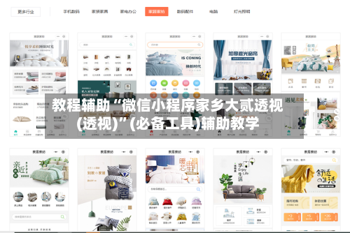 教程辅助“微信小程序家乡大贰透视(透视)	”(必备工具)辅助教学-第1张图片